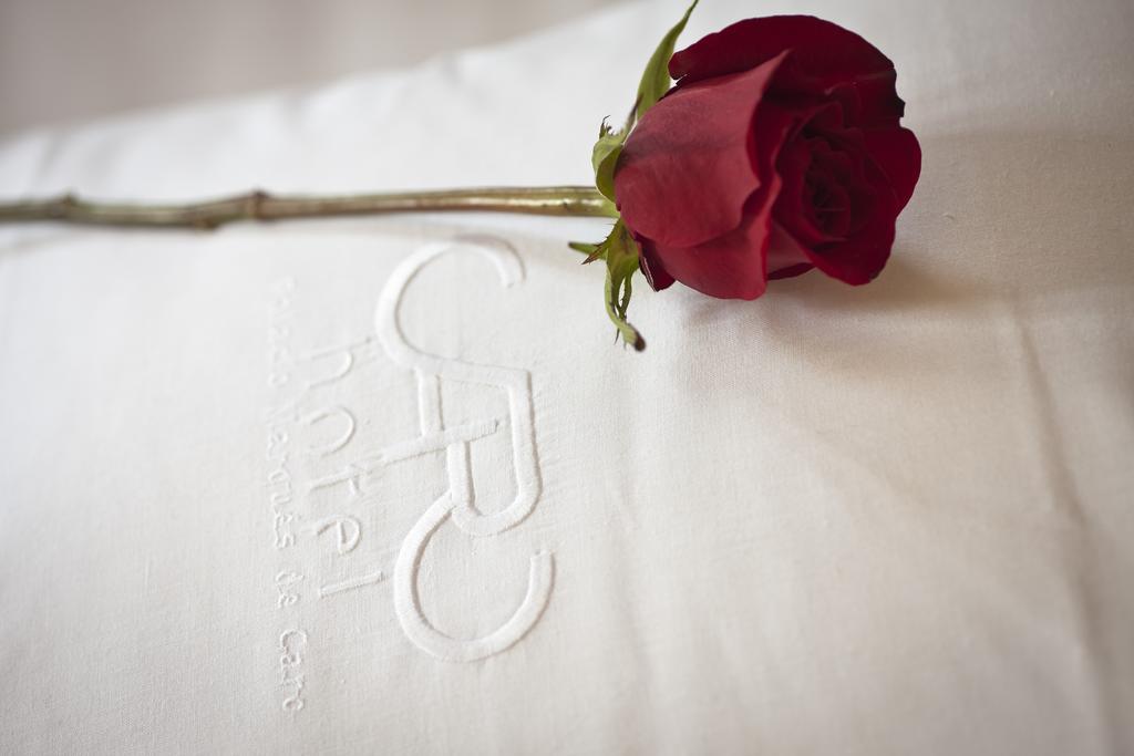 Caro Hotel Βαλένθια Εξωτερικό φωτογραφία A rose